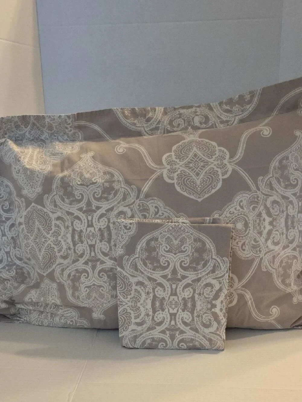 Pottery Barn Alana Medallion Taupe Ivory Ombre Cotton Standard Pillow Sham Set